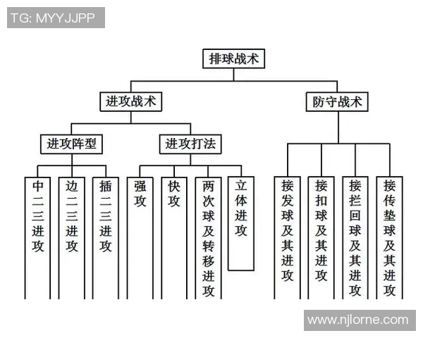 北京排球队整体压制战术解析与实战应用探讨